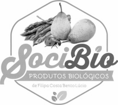SOCIBIO DE FILIPA COSTA BENTO LÚCIO PRODUTOS BIOLÓGICOS