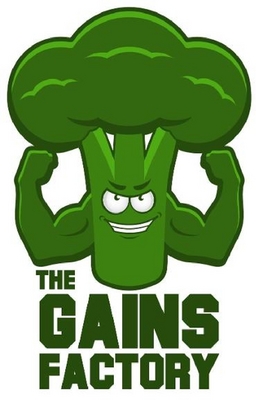 THE GAINS FACTORY