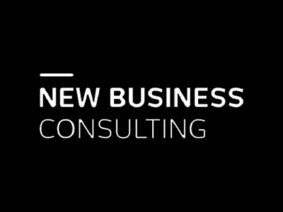 NEW BUSINESS CONSULTING