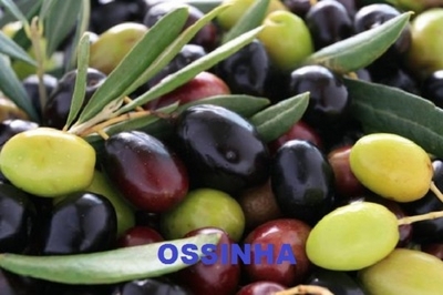 OSSINHA