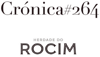 CRÓNICA #264 HERDADE DO ROCIM