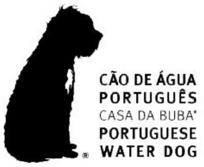 CASA DA BUBA CÃO DE ÁGUA PORTUGUÊS  PORTUGUESE WATER DOG
