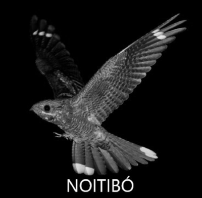 NOITIBÓ