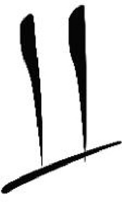 U