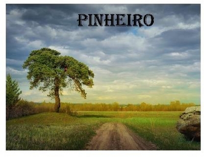 PINHEIRO