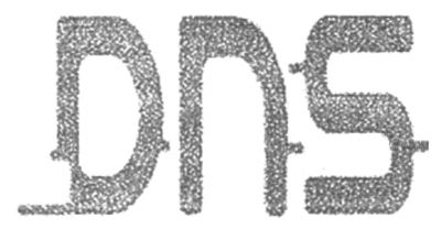D N S