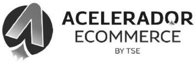 ACELERADOR ECOMMERCE BY TSE