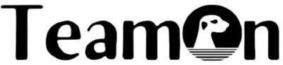 TEAMON