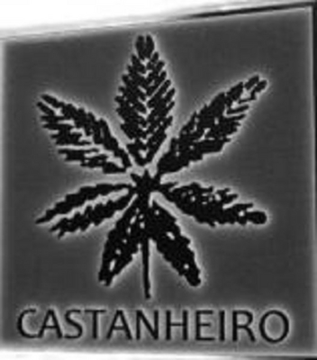 CASTANHEIRO