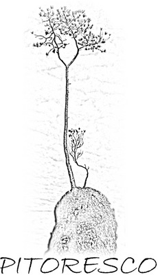 PITORESCO