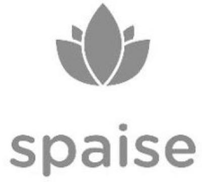 SPAISE