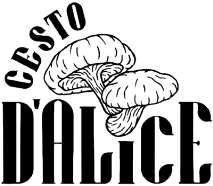 CESTO D'ALICE