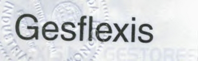 GESFLEXIS