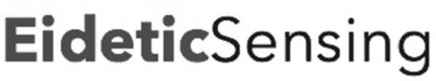 EIDETIC SENSING