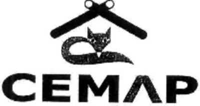 CEMAP
