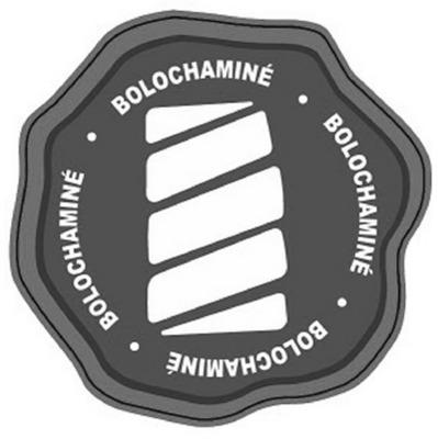 BOLO CHAMINÉ