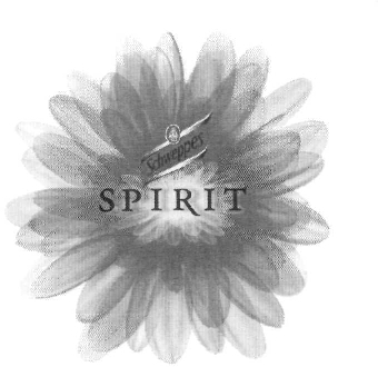 SCHWEPPES SPIRIT