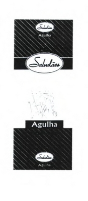 SALUDAES AGULHA