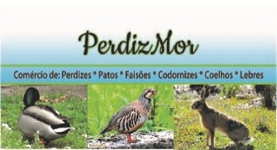 PERDIZMOR COMÉRCIO DE: PERDIZES PATOS FAISÕES CODORNIZES COELHOS LEBRES