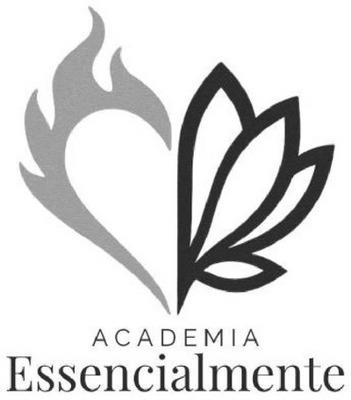 ACADEMIA ESSENCIALMENTE