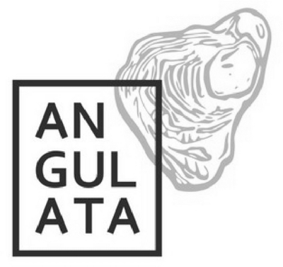ANGULATA