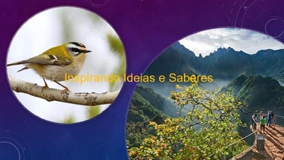 INSPIRANDO IDEIAS E SABERES