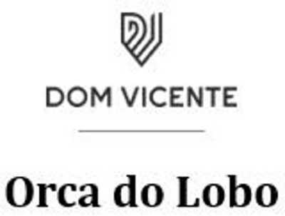 DV DOM VICENTE ORCA DO LOBO