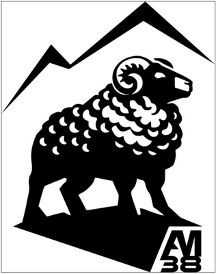 AM38