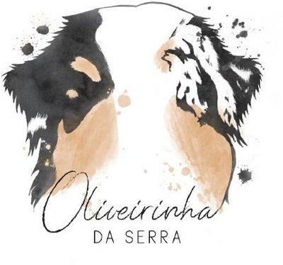 OLIVEIRINHA DA SERRA