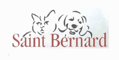 SAINT BERNARD