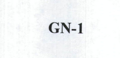 GN-1
