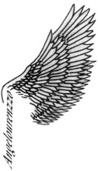ANGELOURENZZO