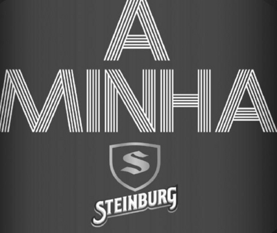 A MINHA STEINBURG