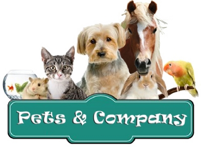 PETS & COMPANY