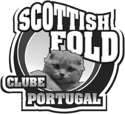 SCOTTISH FOLD CLUBE PORTUGAL
