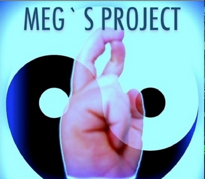 MEG'S PROJECT