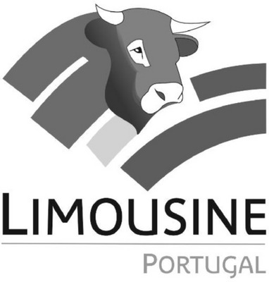 LIMOUSINE PORTUGAL