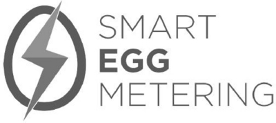 SMART EGG METERING