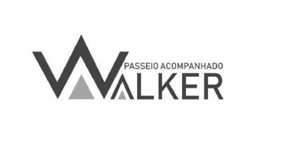 WALKER PASSEIO ACOMPANHADO