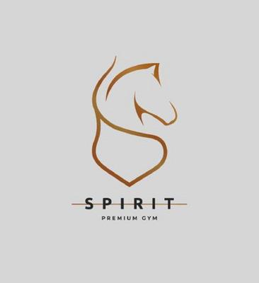 SPIRIT PREMIUM GYM