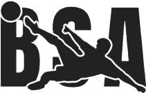 BSA