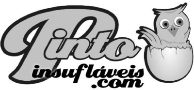 PINTO INSUFLÁVEIS.COM