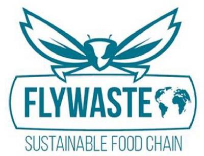 FLYWASTE SUSTABLE FOOD CHAIN