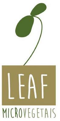LEAF MICROVEGETAIS