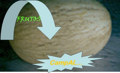 FRUTOS CAMPAL