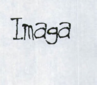 IMAGA