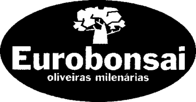 EUROBONSAI OLIVEIRAS MILENÁRIAS