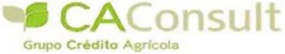 CA CONSULT GRUPO CRÉDITO AGRÍCOLA
