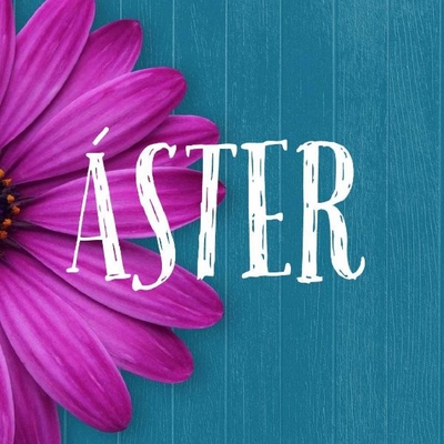 ÁSTER
