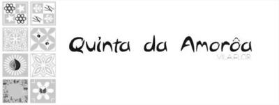 QUINTA DA AMORÔA VILA FLOR